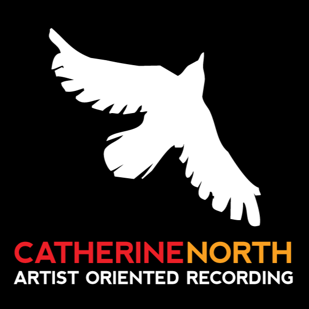 Catherine North Studios | electronics store | 255 Park St N, Hamilton, ON L8L 1L9, Canada | 9055287142 OR +1 905-528-7142
