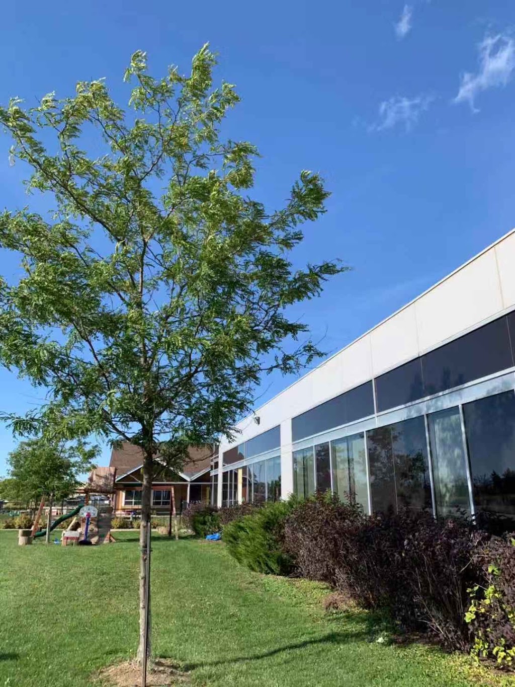 Waterloo Independent Secondary School | 435 King St N, Waterloo, ON N2J 2Z5, Canada | Phone: (226) 647-8000