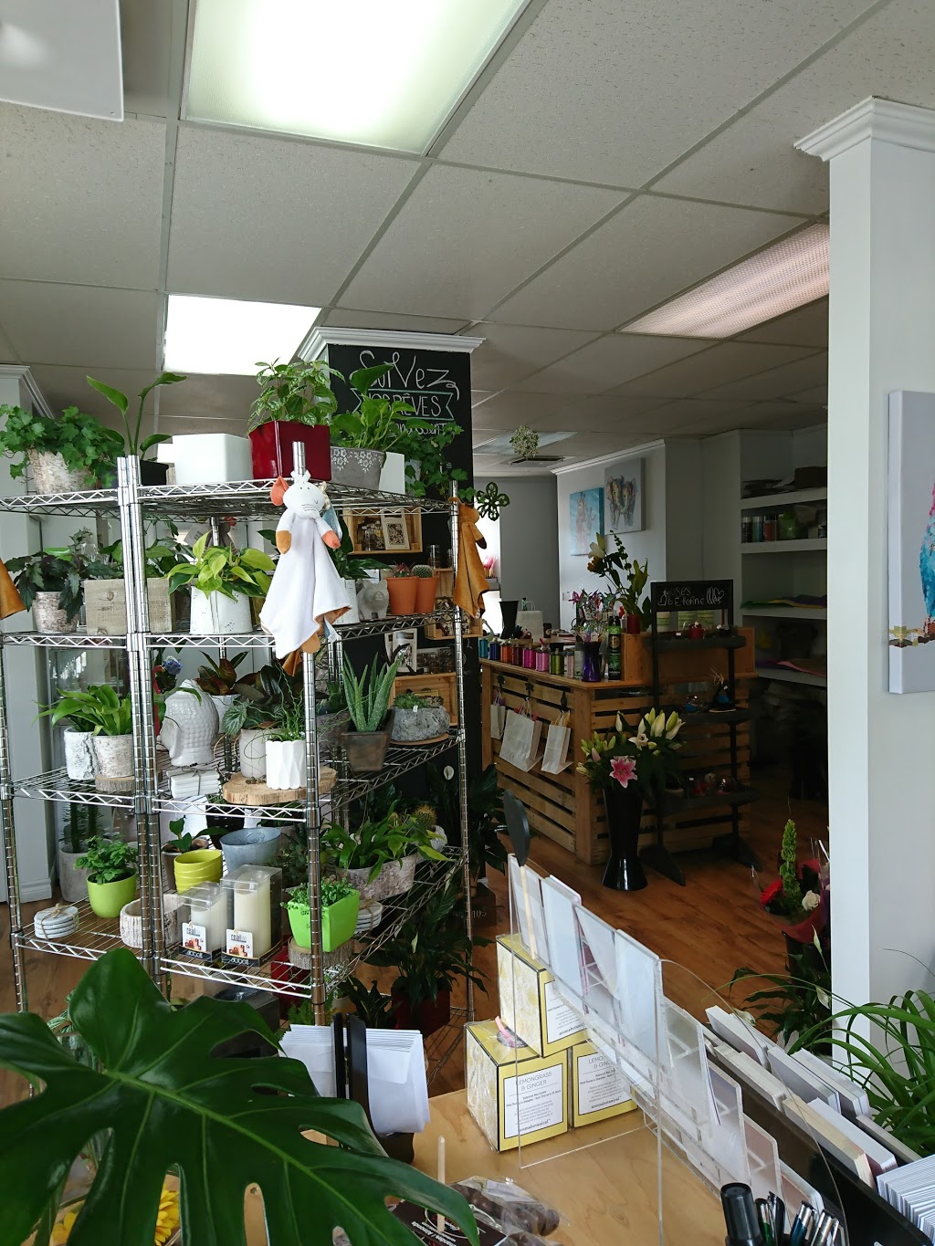 Fleuriste Beauharnois | 124 Rue Saint Laurent, Beauharnois, QC J6N 1V9, Canada | Phone: (450) 395-0876