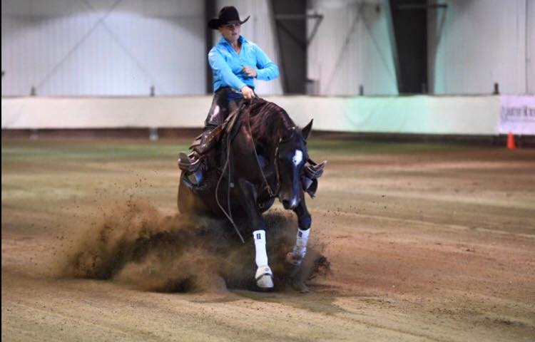 Creekside Equestrian | 6349 W Saanich Rd, Saanichton, BC V8M 1W8, Canada | Phone: (250) 818-2784