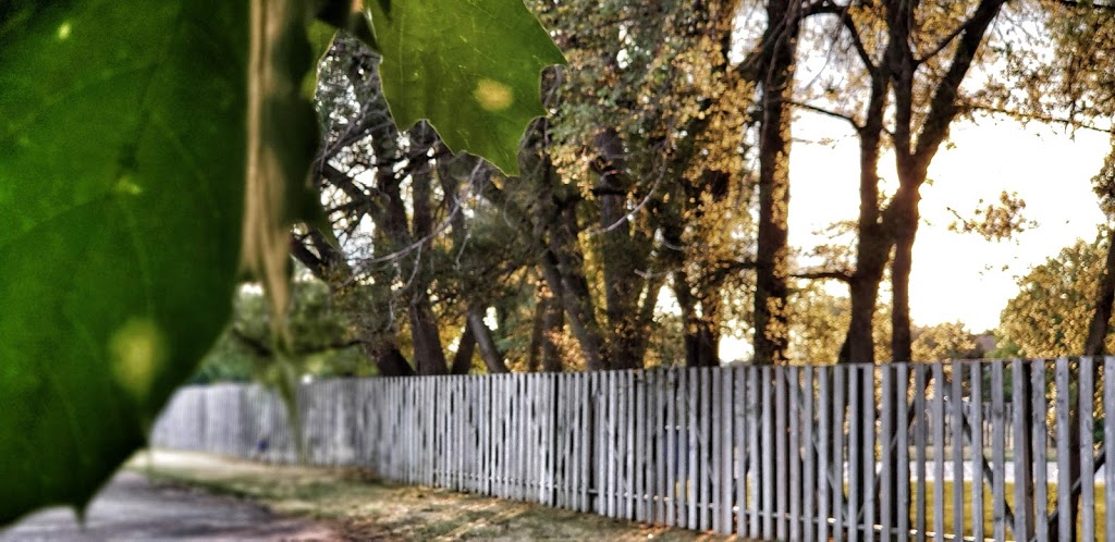 McCullough Park | Kingston, ON K7M 1V8, Canada
