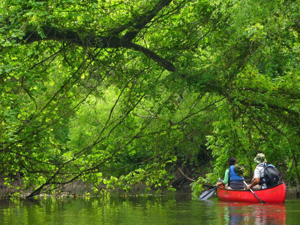 Long Point Eco Adventures | 1730 Front Rd, St Williams, ON N0E 1P0, Canada | Phone: (877) 743-8687