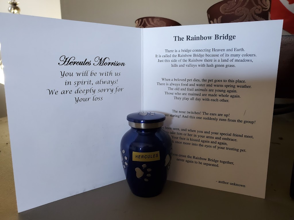 Pet Cremation care | 9650 114 Ave SE Bay 1, Calgary, AB T0S 0A4, Canada | Phone: (403) 605-5666