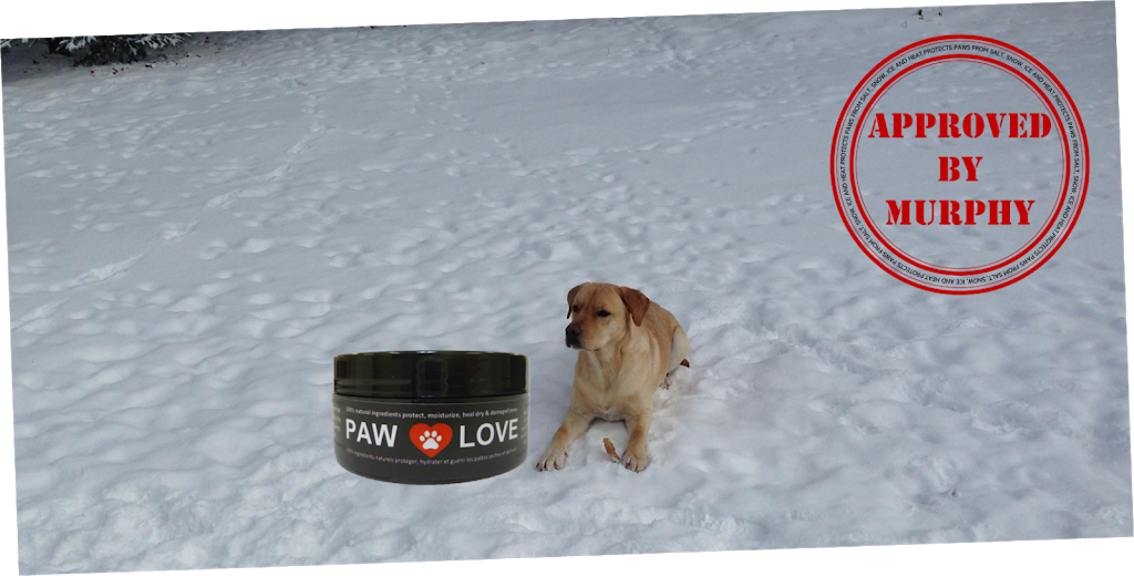 Paw Love | 1 First St suite 220, Collingwood, ON L9Y 1A1, Canada | Phone: (800) 295-8561