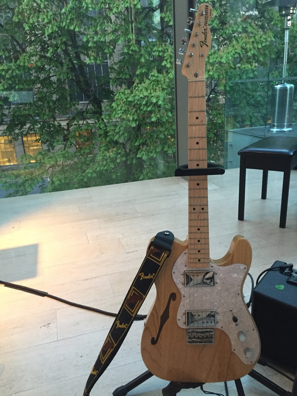 Wellington Music Co. and The Guitar Guys | 17 Vistaview Blvd, Thornhill, ON L4J 2A5, Canada | Phone: (416) 410-5365
