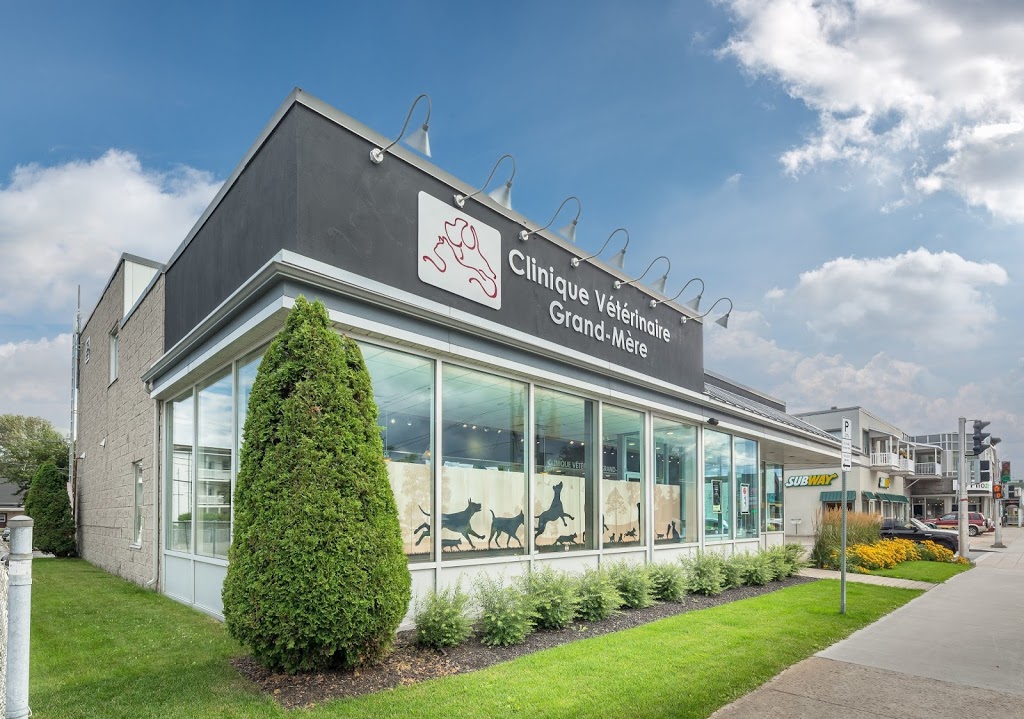Clinique Vétérinaire Passionimo Grand-Mère | 799 Avenue de Grand-Mère, Grand-Mère, QC G9T 2H8, Canada | Phone: (819) 533-3663