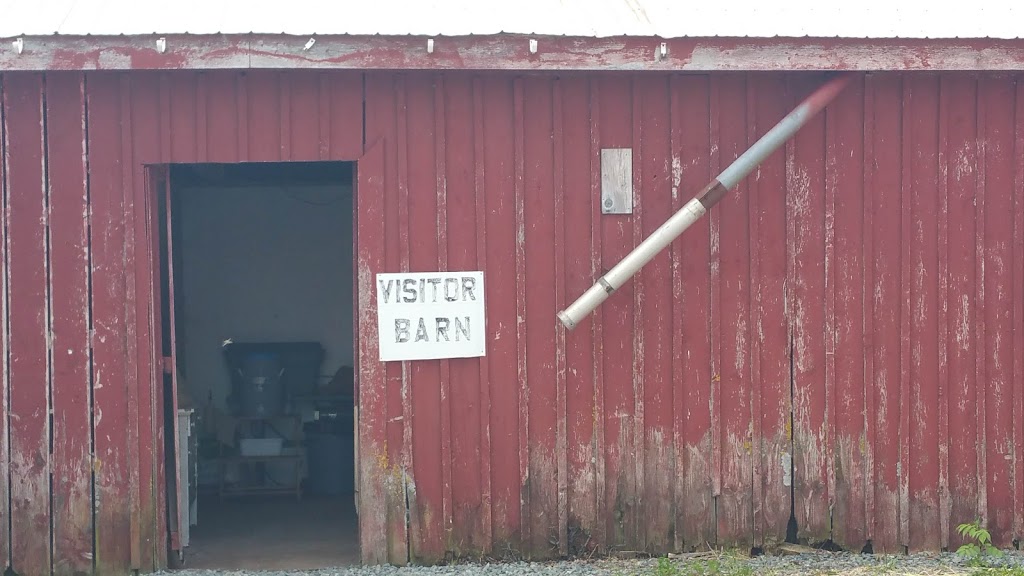 Lismore Sheep Farm & Wool Shop | 1389 Louisville Rd, River John, NS B0K 1N0, Canada | Phone: (902) 351-2594
