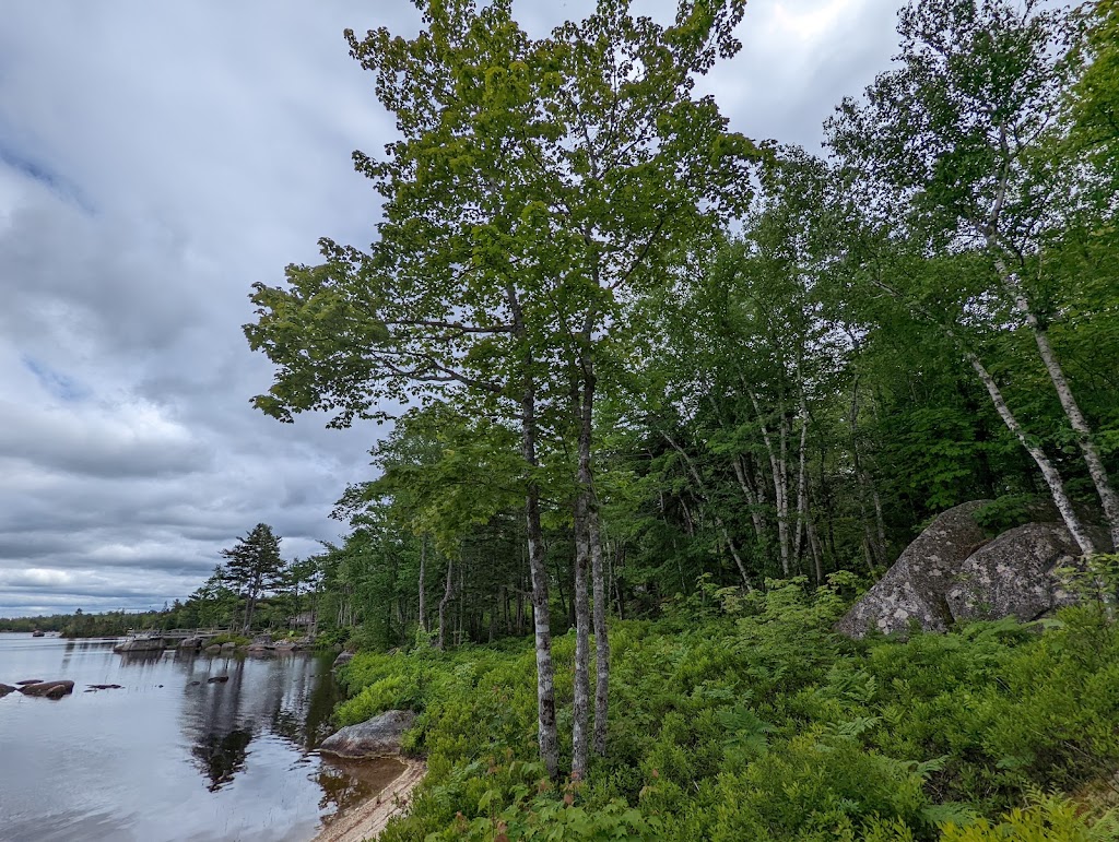 Raven Haven | 2239 Virginia Rd, Annapolis Royal, NS B0S 1A0, Canada | Phone: (902) 532-7320