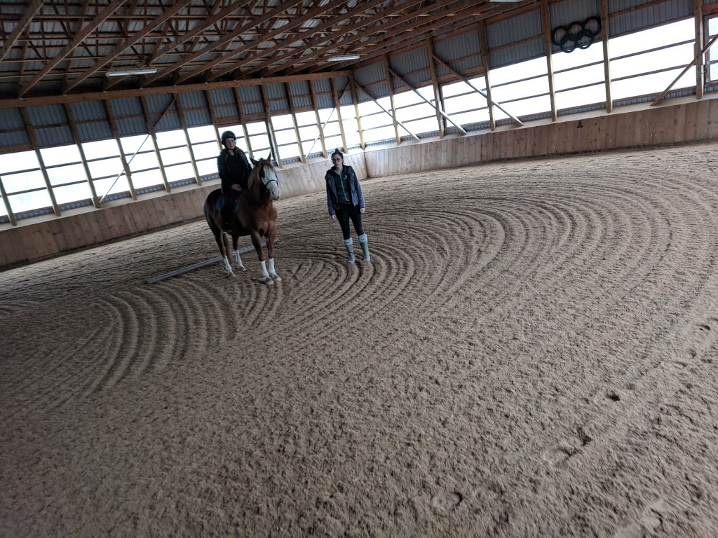 Lenka Equestrian Centre | 750 Concession 8 W, Puslinch, ON N0B 2J0, Canada | Phone: (905) 629-2238