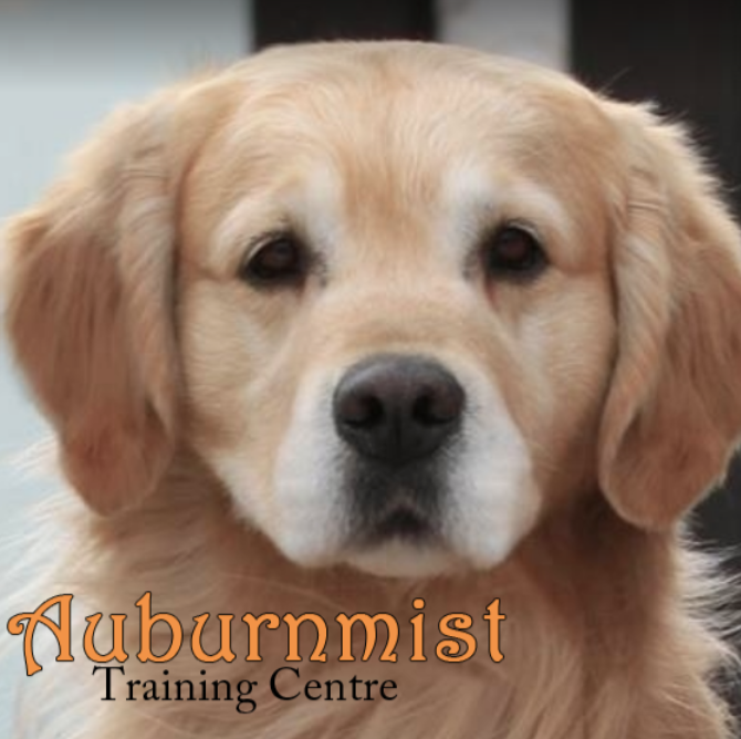 Auburnmist Training Centre Inc. | 226152 80 St E, De Winton, AB T0L 0X0, Canada | Phone: (403) 938-6733