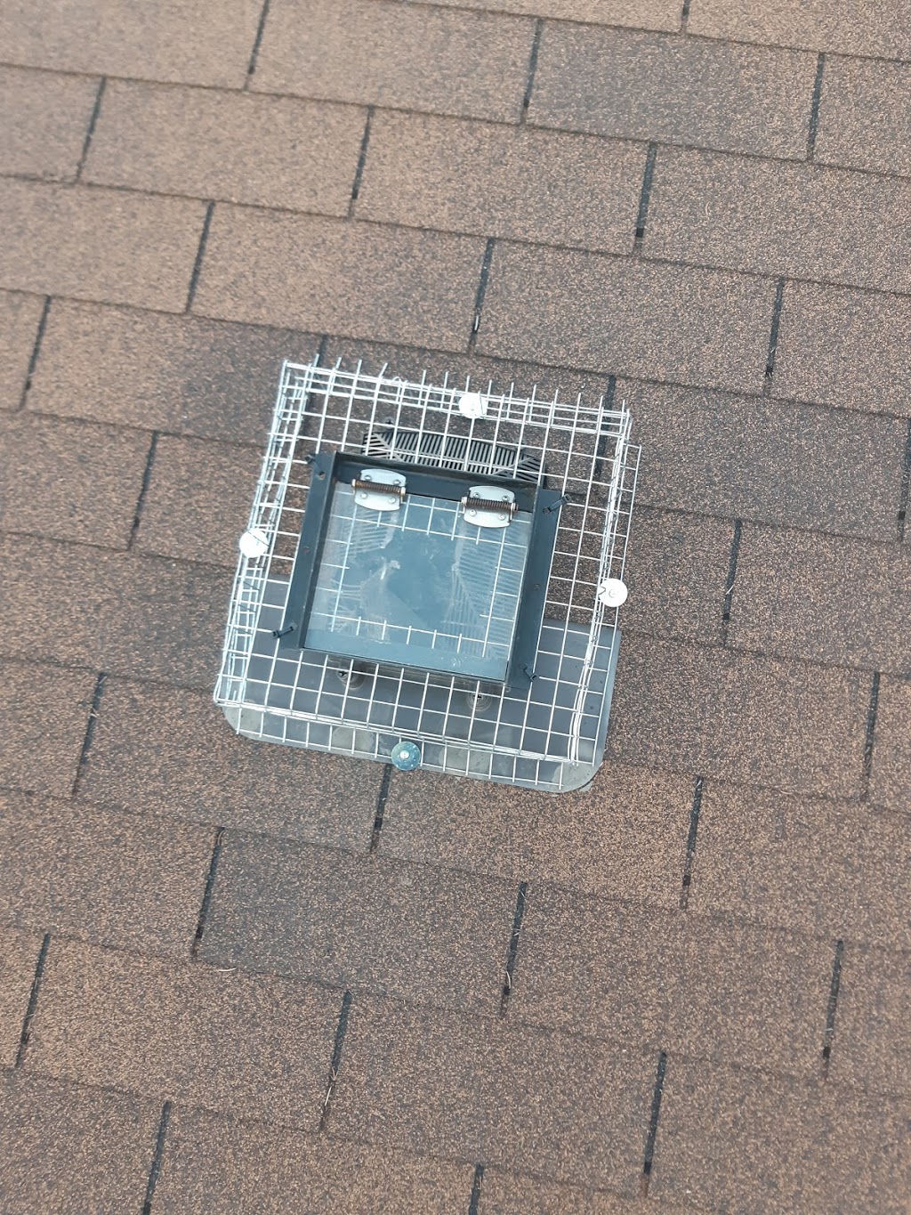 Pest Proof Canada | 163 Asleton Blvd #1000, Milton, ON L9T 9L2, Canada | Phone: (647) 241-6863