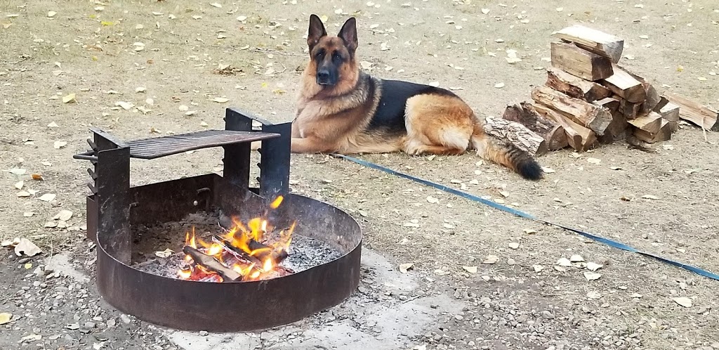 Three Hills Campground | 1401 2nd Street NE, Three Hills, AB T0M 2A0, Canada | Phone: (403) 443-1123