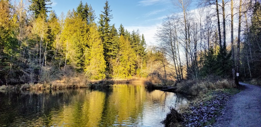 Whatcom Falls Park | 1401 Electric Ave, Bellingham, WA 98229, USA | Phone: (360) 778-7000