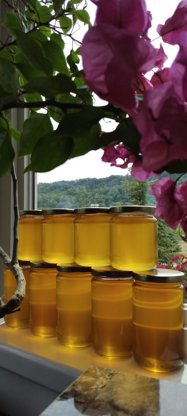 Meijerinks Bee Farm | 501 Main St W, Grimsby, ON L3M 1T4, Canada | Phone: (905) 945-1364