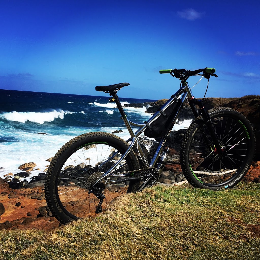 Village Cycles | 214 Lopez Rd, Lopez Island, WA 98261, USA | Phone: (360) 468-4013