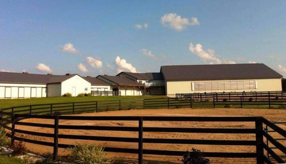 Shining Star Ranch | 52 Concession 2 Sdr, Walkerton, ON N0G 2M0, Canada | Phone: (519) 506-3321