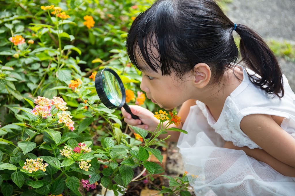 Childrens Discovery Centre | 699 Claymore Rd W, Qualicum Beach, BC V9K 1S7, Canada | Phone: (250) 752-4343