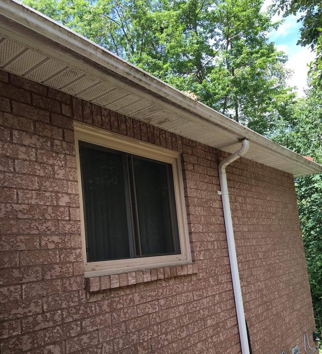 Whites Pro Window Cleaning | 5 Houden St, Elmvale, ON L0L 1P0, Canada | Phone: (705) 717-4743