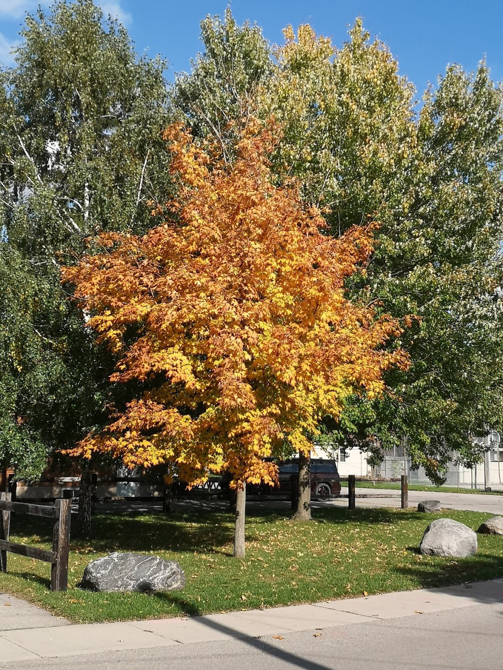Prince Charles Park - Neighboirhood Association Rink | 77 Herbert St, Brantford, ON N3R 3Z9, Canada | Phone: (519) 755-6277