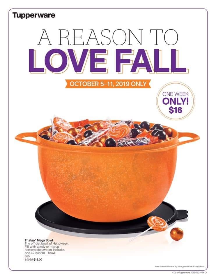 Vinson Tupperware | 164 Gray Crescent, Kanata, ON K2K 3L9, Canada | Phone: (613) 601-0099