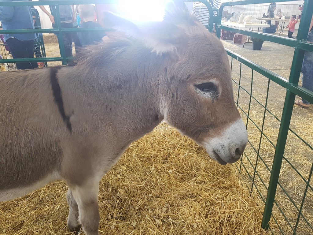 West Niagara Agricultural Centre & Fairgrounds | 7402 Mud St W, Grassie, ON L0R 1M0, Canada | Phone: (905) 309-9939