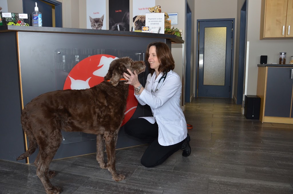 South Side Pet Hospital | 728 Burloak Dr, Burlington, ON L7L 0B1, Canada | Phone: (905) 681-7297