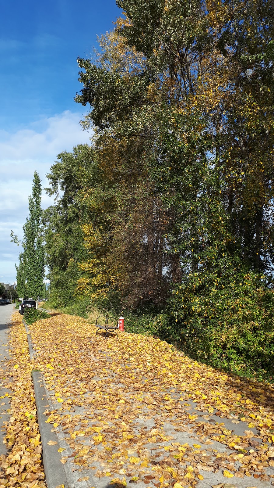 Hidden Bike Track | New Westminster, BC V3M 7A2, Canada