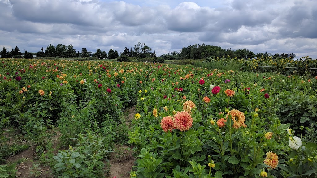 Andrews Scenic Acres | 9365 10 Side Rd, Milton, ON L9T 2X9, Canada | Phone: (905) 878-5807
