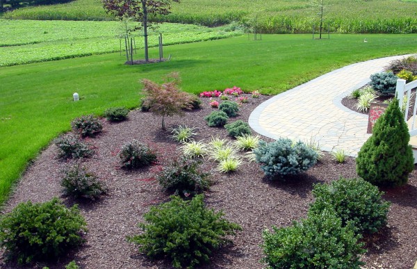Danslawnbiz | 25 Thompson Dr, Jacksons Point, ON L0E 1L0, Canada | Phone: (905) 722-7833