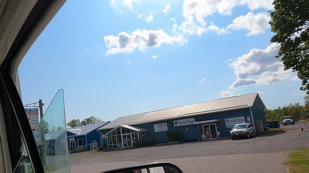 Perfect Buzz | 283B ON-49 Tyendinaga Mohawk Territory, Hastings County, ON K0K 1X0, Canada | Phone: (613) 243-9094