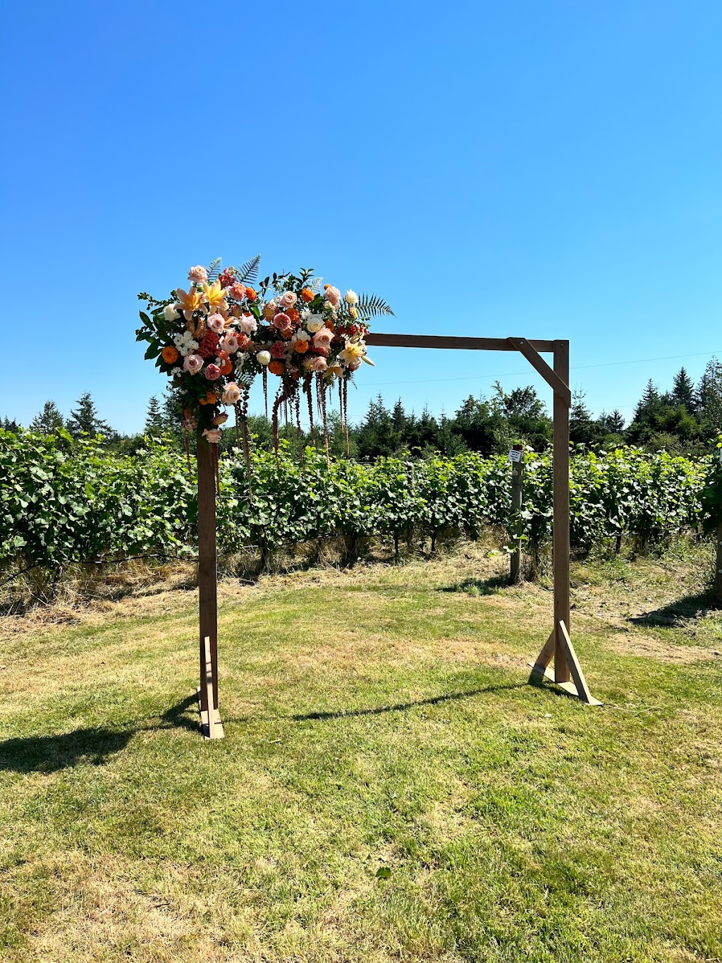 A Lifetime to Celebrate | 1155 Webdon Rd, Courtenay, BC V9N 9K7, Canada | Phone: (236) 255-3407