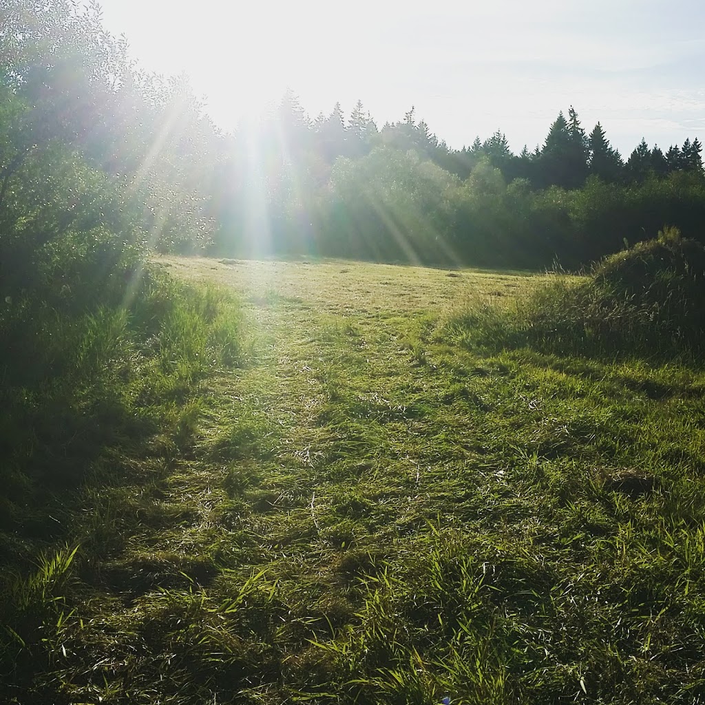 Pyramid Stables | 7581 Harby Rd W, Lantzville, BC V0R 2H0, Canada | Phone: (250) 390-7631