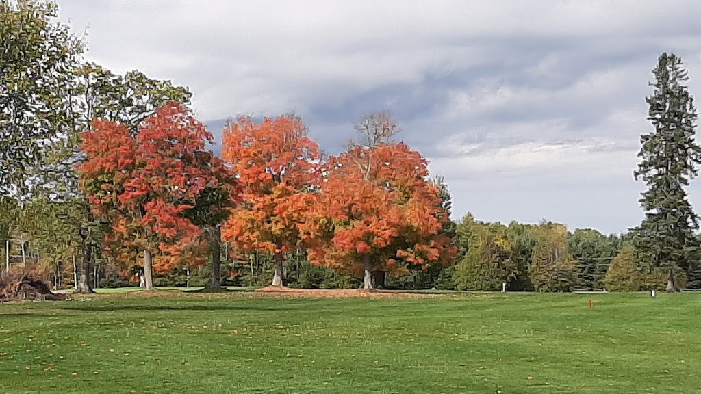 Richmond Centennial Golf Course | 3797 Joys Rd, Richmond, ON K0A 2Z0, Canada | Phone: (613) 838-4791