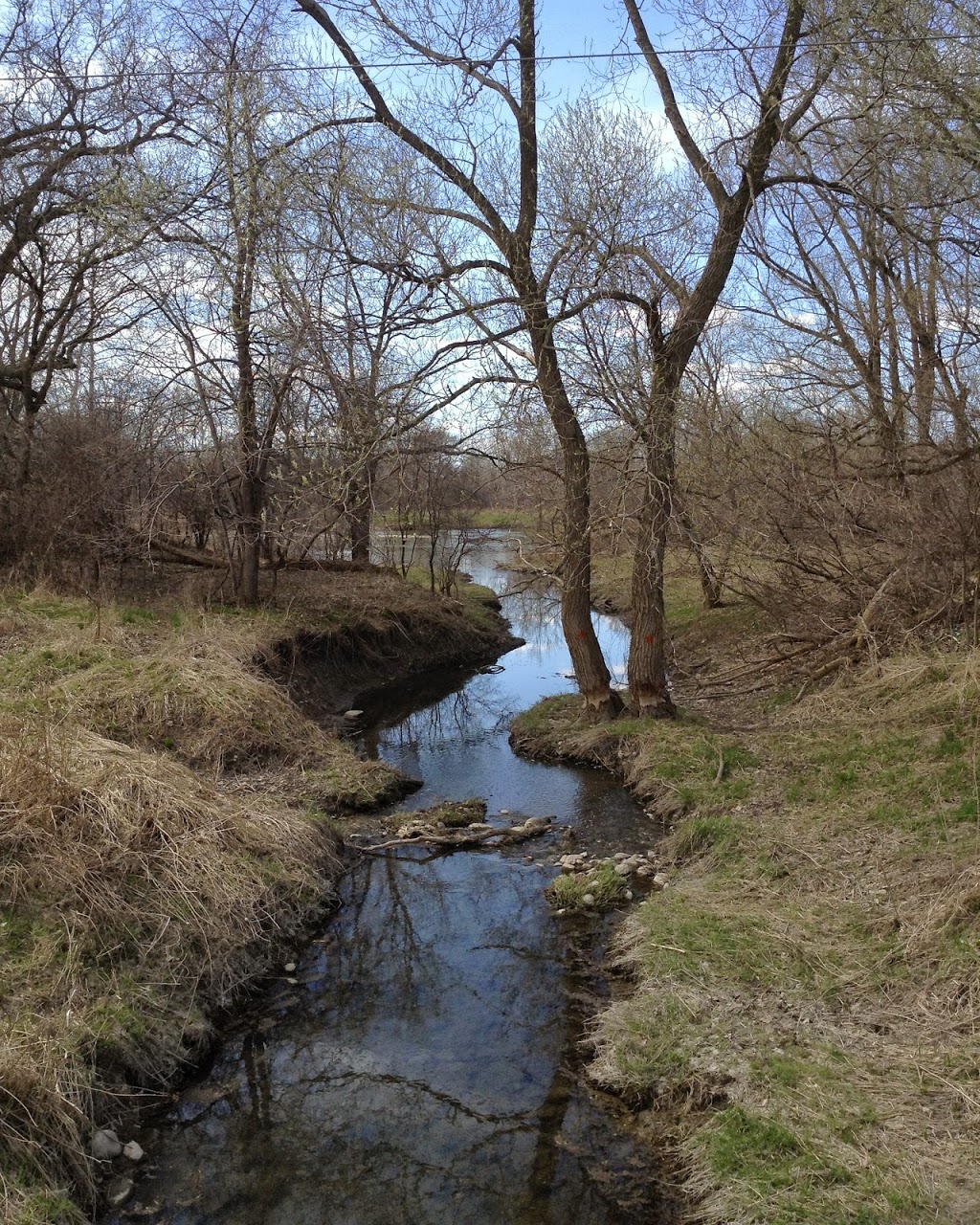 Kilally Meadows - Environmently Significant Area | 5V3, 17-29 Edgevalley Rd, London, ON N5Y 6L5, Canada
