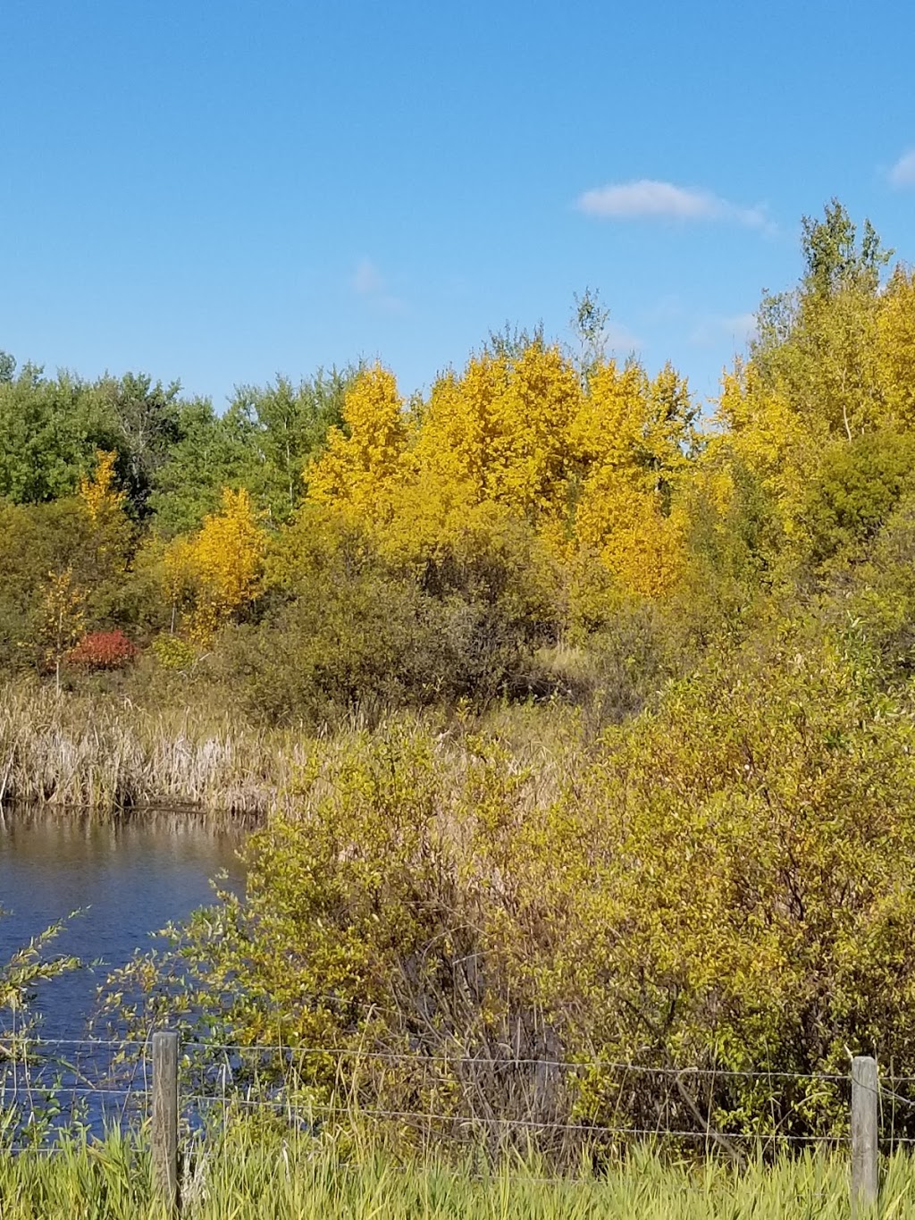 Miquelon Lake Provincial Park | campground | 20514 SEC HWY 623, Camrose County No. 22, AB T4V 2N1, Canada | 7806727274 OR +1 780-672-7274