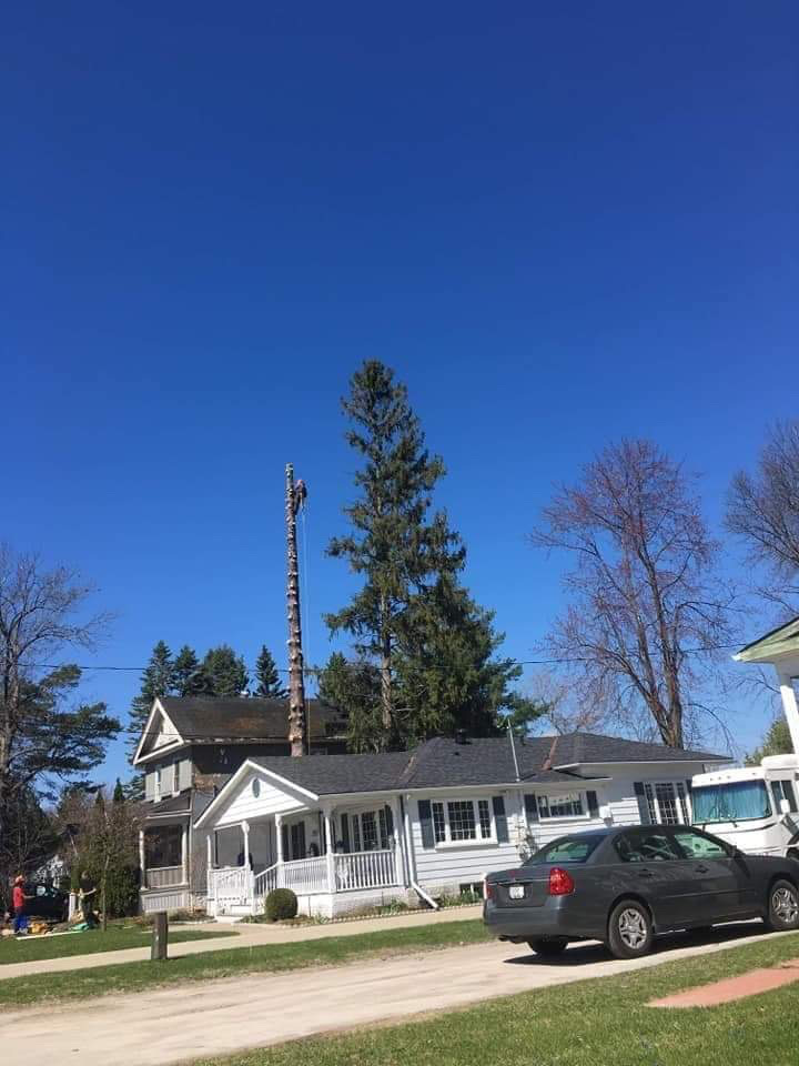 Arborstrong Tree Service | 2402 Concession, ON-6, Collingwood, ON L9Y 3Z1, Canada | Phone: (705) 351-8733