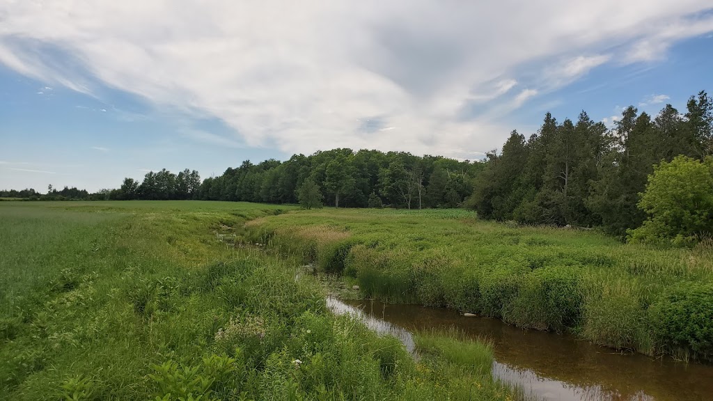 MARVARA | 7835 6 Line, Drayton, ON N0G 1P0, Canada | Phone: (519) 501-6571