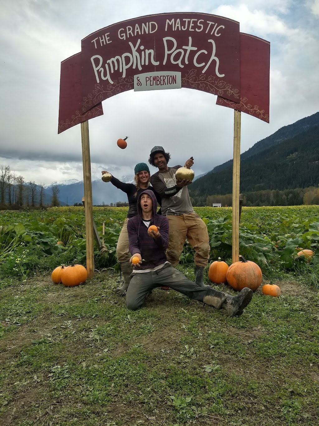 Laughing Crow Organics | 8324 Pemberton Meadows Rd, Pemberton, BC V0N 2L0, Canada | Phone: (604) 906-1305