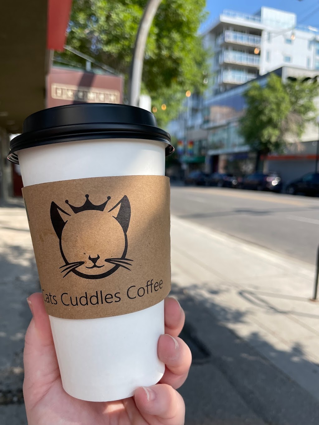 Regal Cat Cafe | 303 10 St NW, Calgary, AB T2N 1V8, Canada | Phone: (403) 455-2287