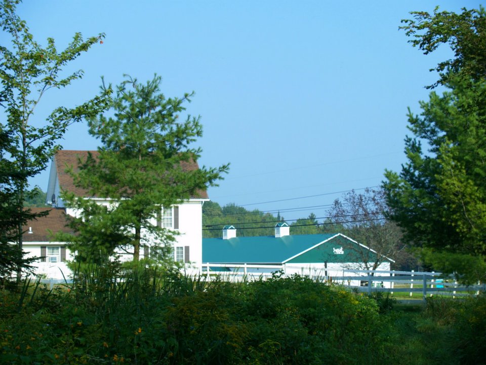 Missisquoi Valley Arabian Equestrian Center | 1877 VT-105, Newport, VT 05855, USA | Phone: (802) 334-8560