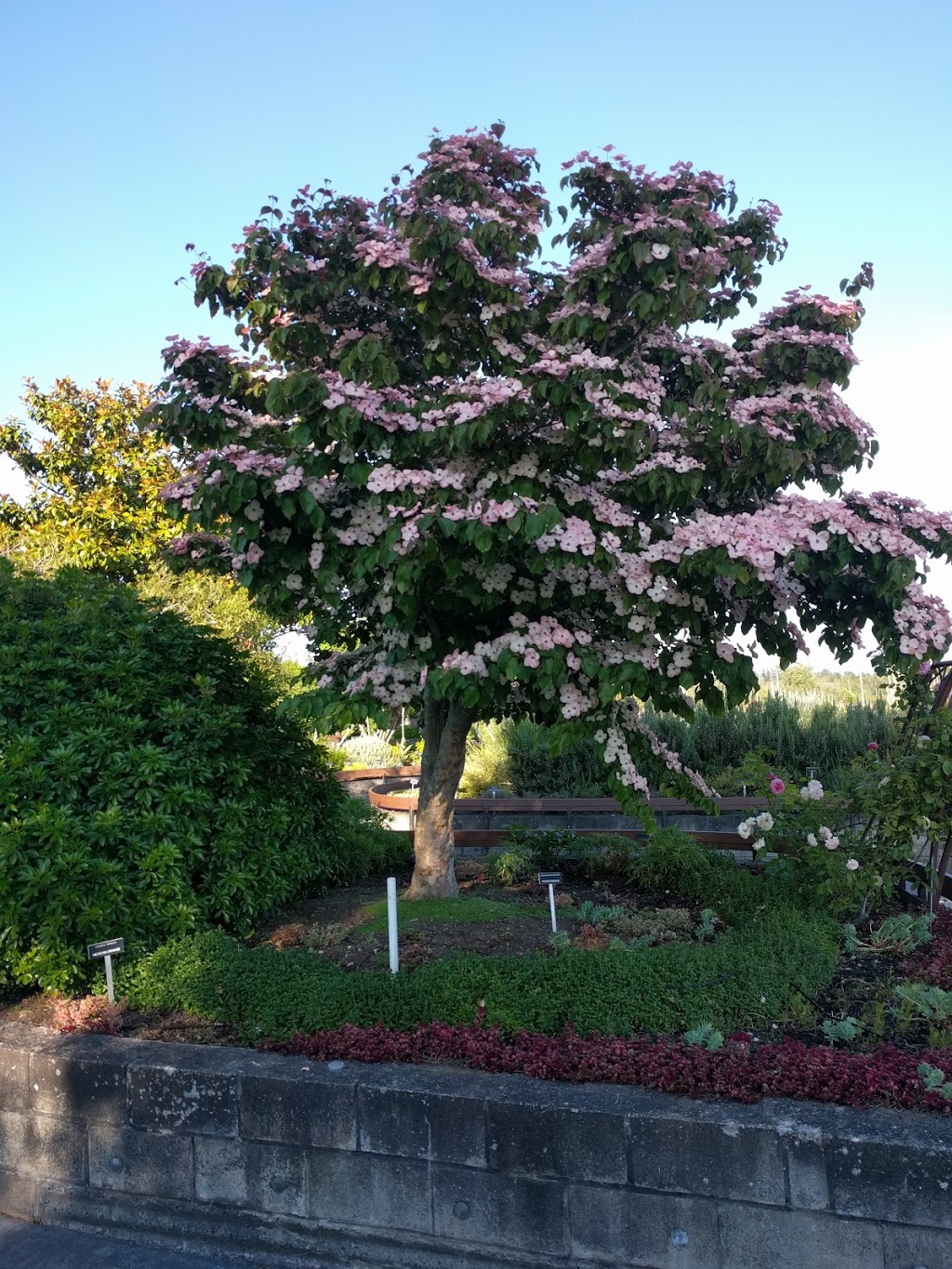 Tennant Lake Fragrance Garden | 5200-5298 Nielsen Rd, Ferndale, WA 98248, USA