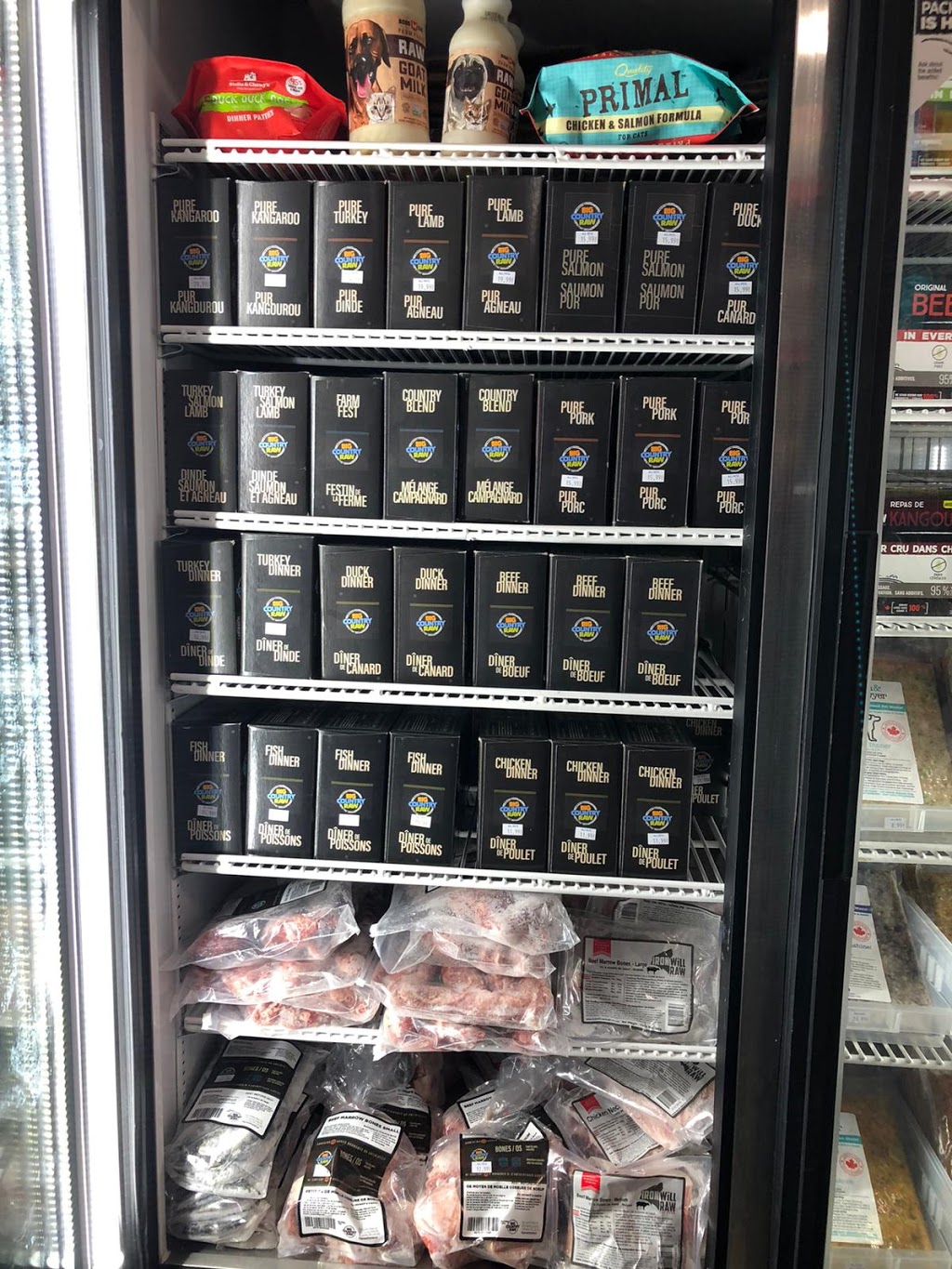 All Pets | 451 Church St, Toronto, ON M4Y 2C5, Canada | Phone: (416) 901-7387