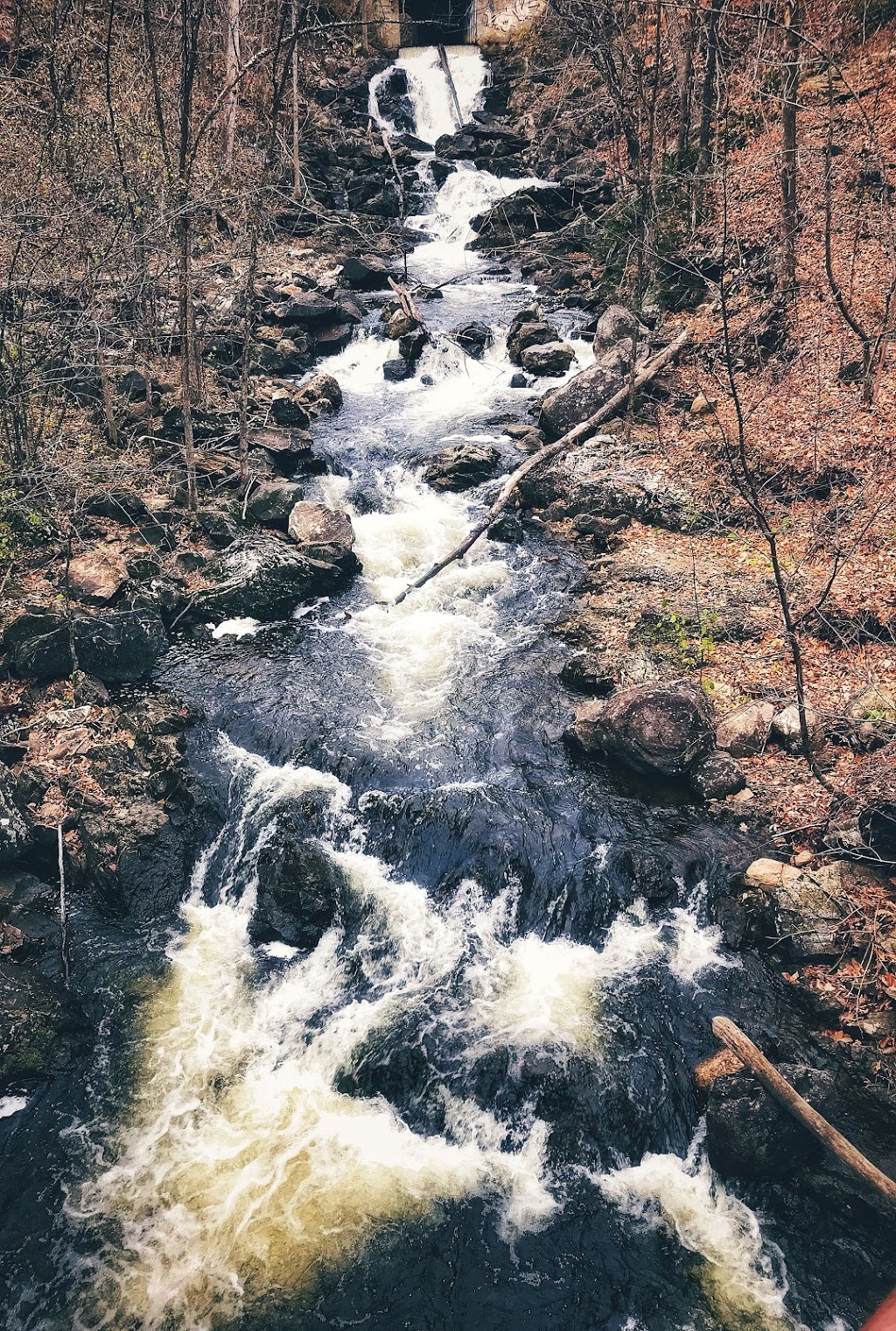 Old Chelsea Picnic Area | 15 Chemin Kingsmere, Chelsea, QC J9B 1G8, Canada | Phone: (613) 239-5678