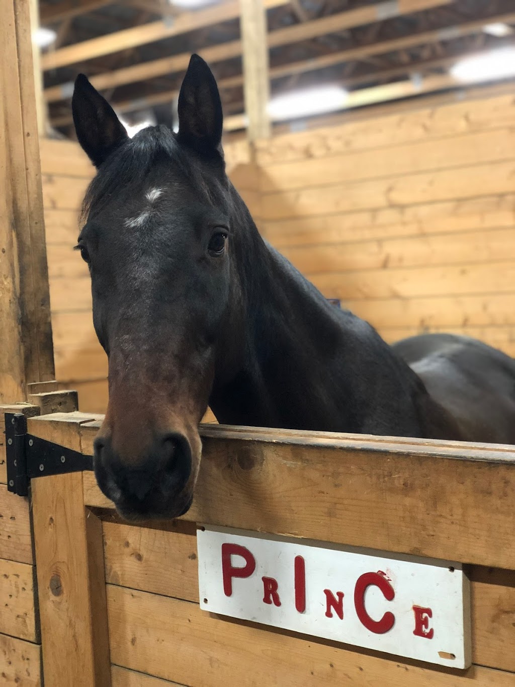Rainbows End Equestrian Centre & ET Stitchery | 7153 NS-207, West Chezzetcook, NS B0J 1N0, Canada | Phone: (902) 802-8674