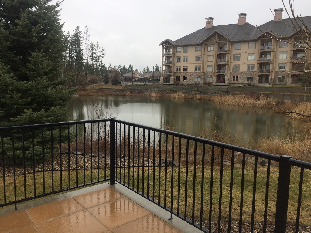 Sitara Animal Hospital | 2611 Stillwater Way #101, Lake Country, BC V4V 2R3, Canada | Phone: (778) 480-6274