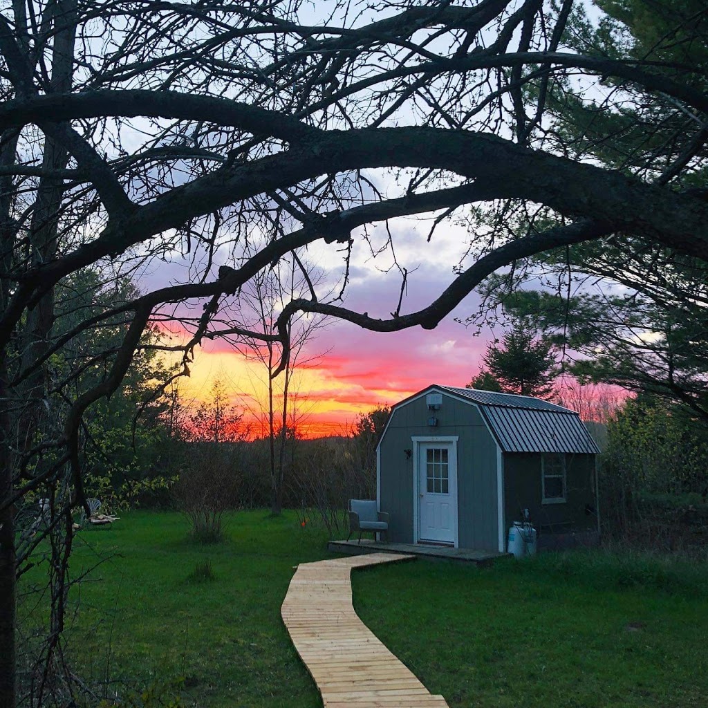 Cedar Massage - RMT | 263 Gillespie Rd, Colborne, ON K0K 1S0, Canada | Phone: (705) 930-3443
