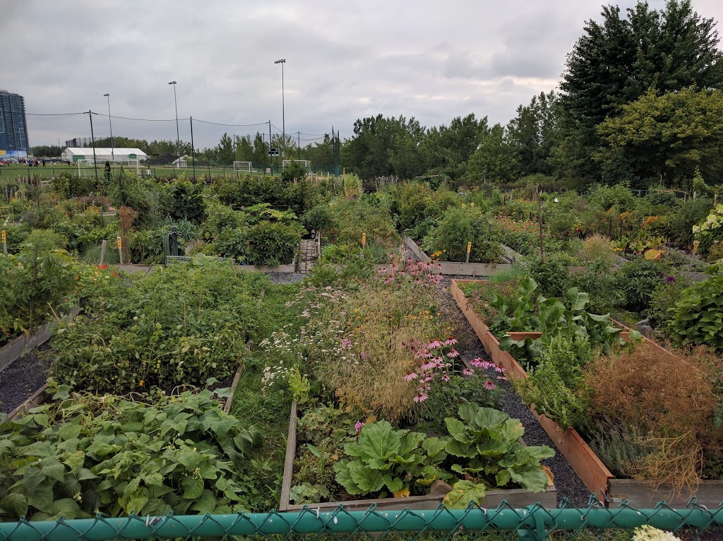 Local Community Gardens | 452 Chemin du Club Marin, Verdun, QC H3E 1V9, Canada | Phone: (514) 765-7270