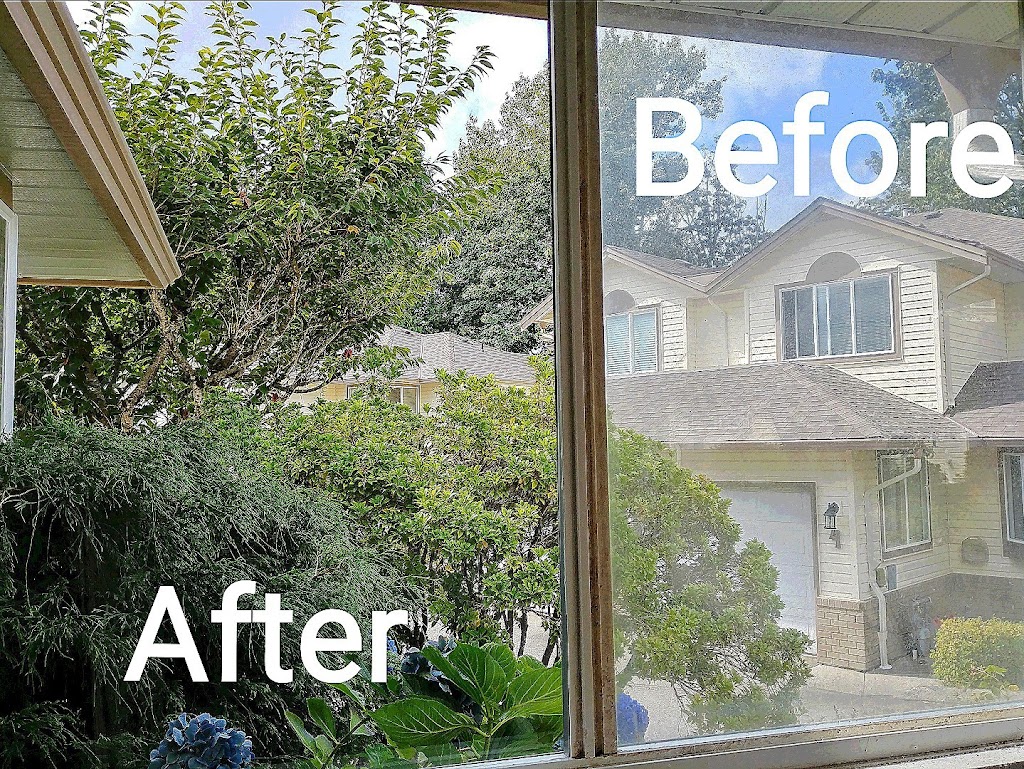 Blue Valley Window Cleaning | 34332 Maclure Rd #75, Abbotsford, BC V2S 7S8, Canada | Phone: (604) 897-1005
