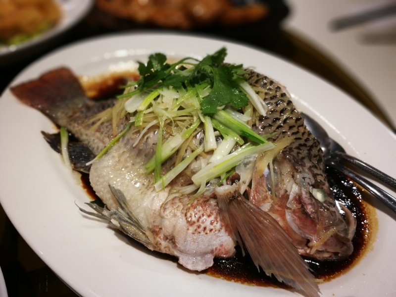 Deer Garden Restaurant | 1163 Pinetree Way Unit 1045, Coquitlam, BC V3B 8A6, Canada | Phone: (604) 475-8088