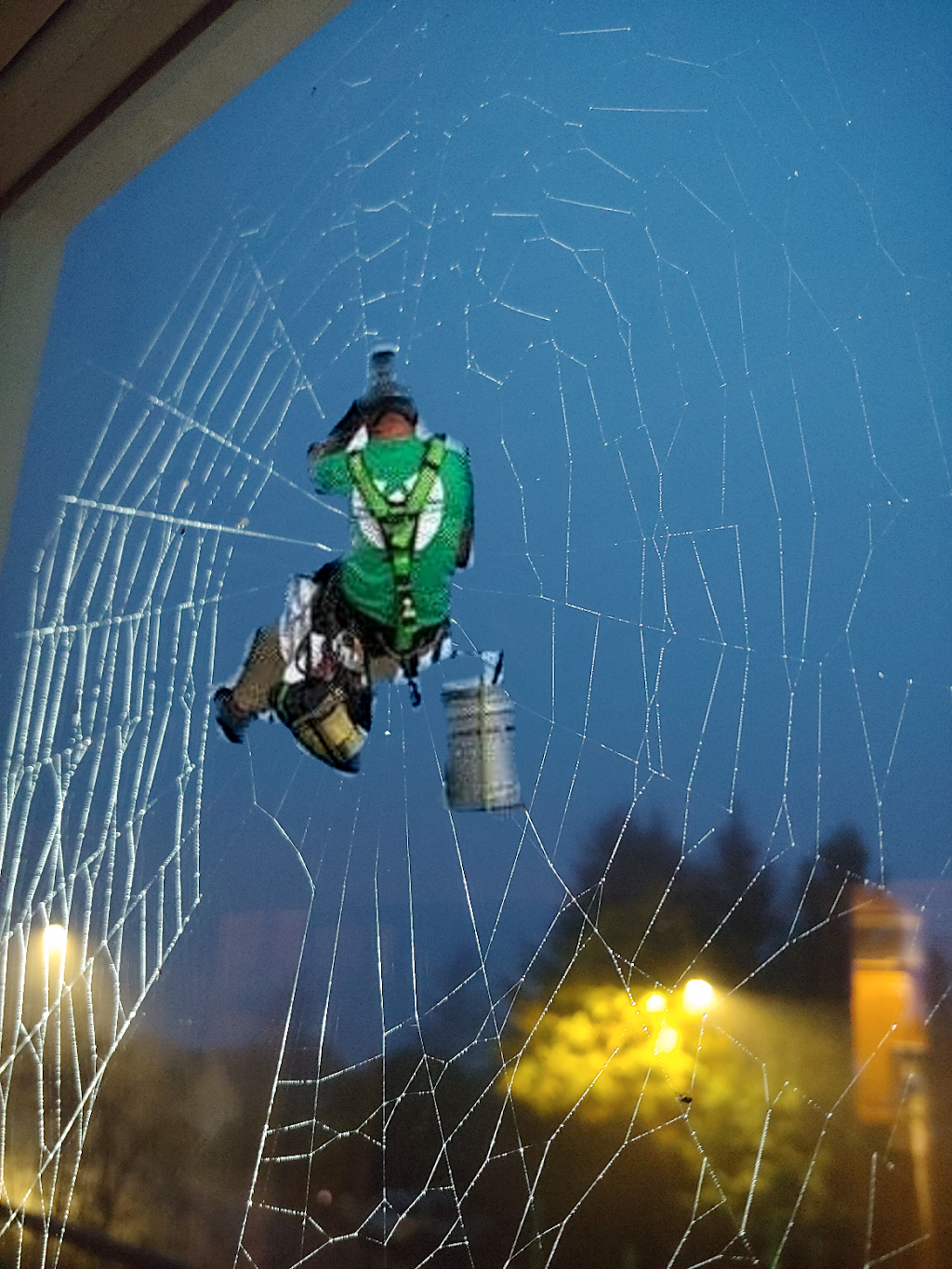 The Window Viper Glass & Gutter Cleaning Service Inc. | 6054 Chippewa Rd, Duncan, BC V9L 5P5, Canada | Phone: (250) 815-5877